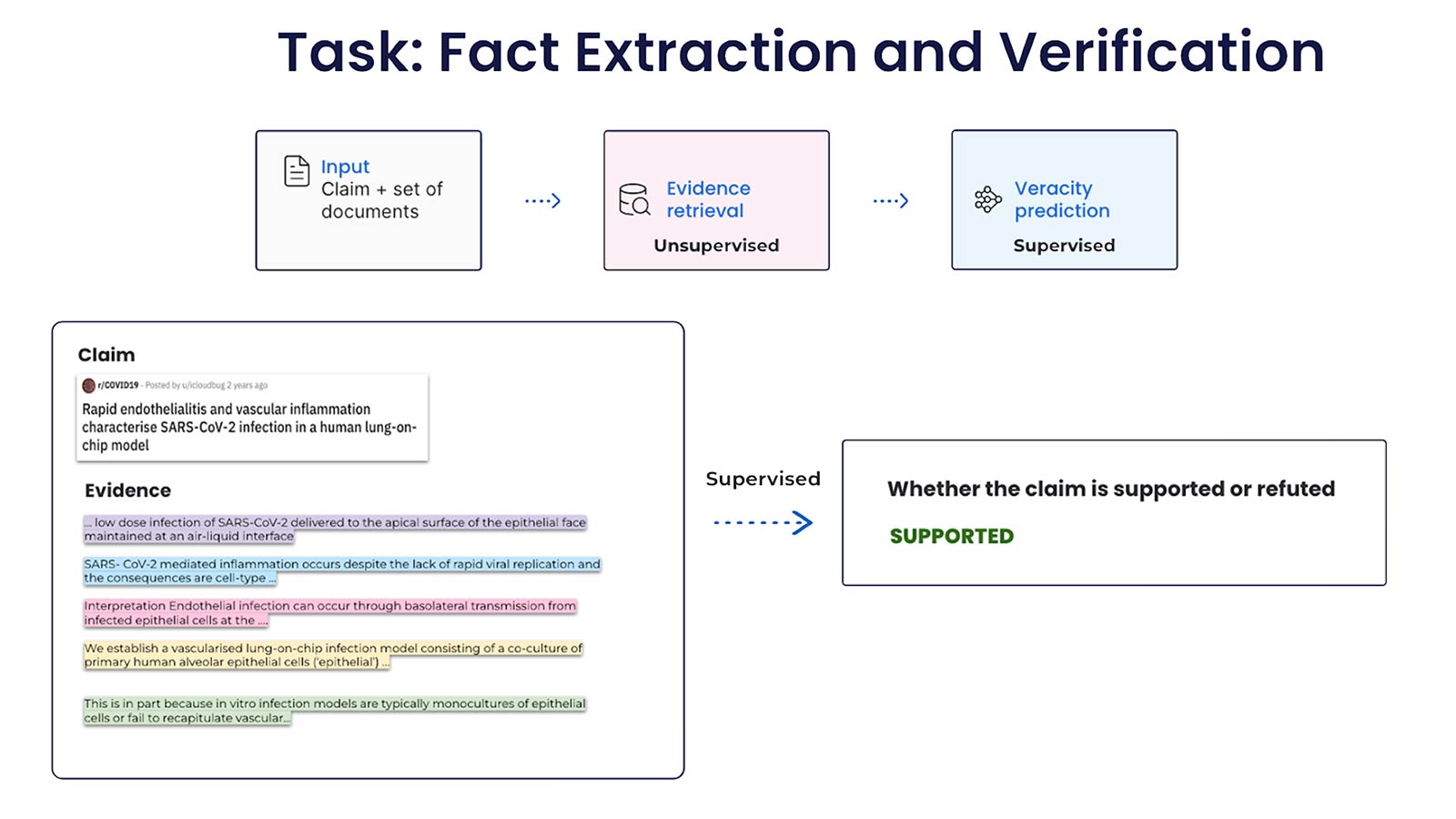 Integrating external knowledge into COVID fact-checking