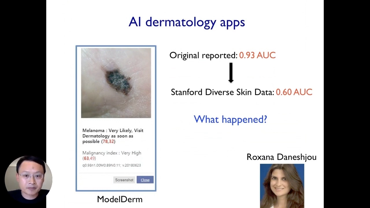 Interpretable AI: AI dermatology applications