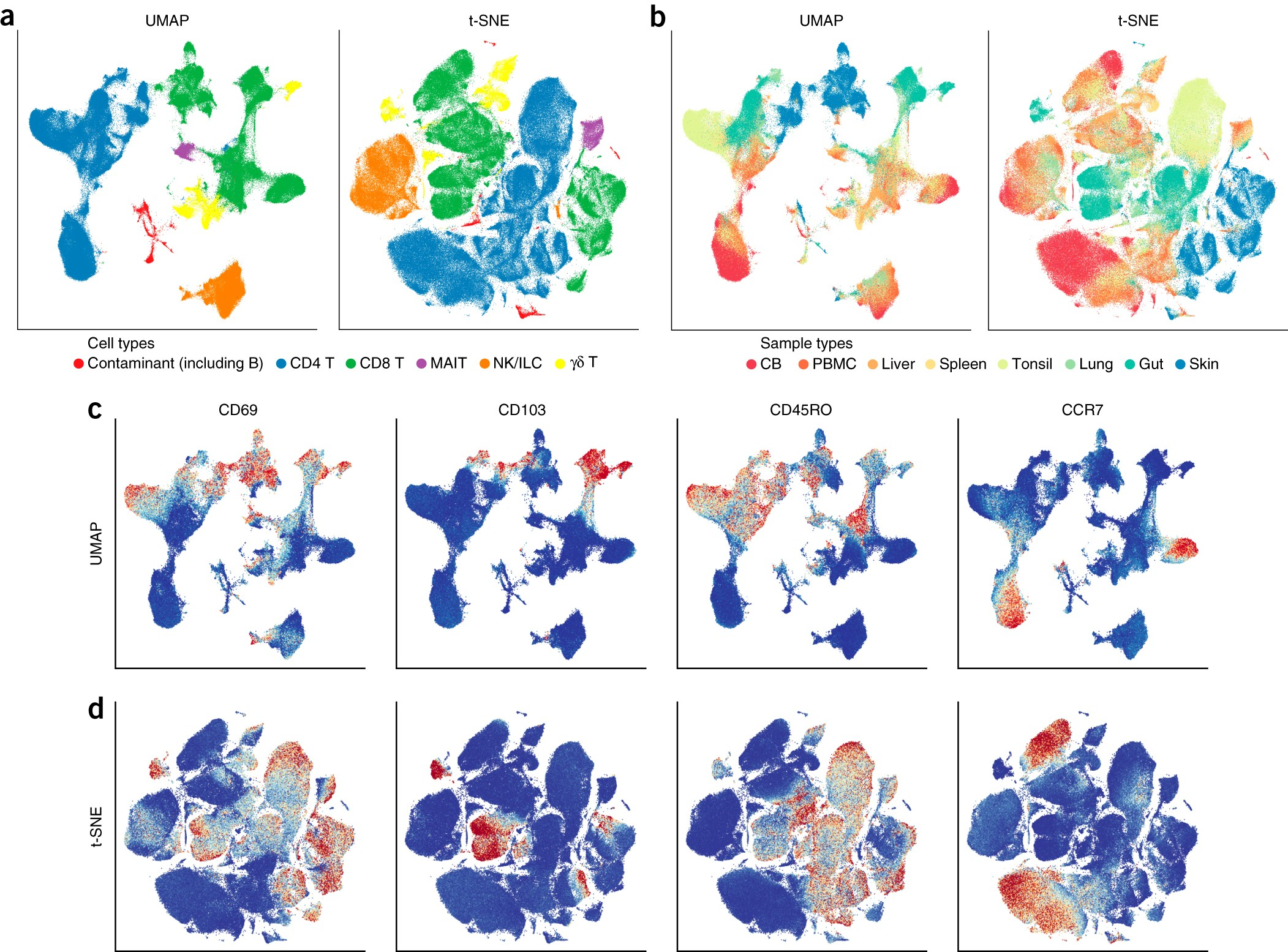 This embedding visualization comes from a Nature publication, and it shows some obvious and possibly informative clusters, but there's still enough overlap and nuance that labeling based on this view is not straightforward. 